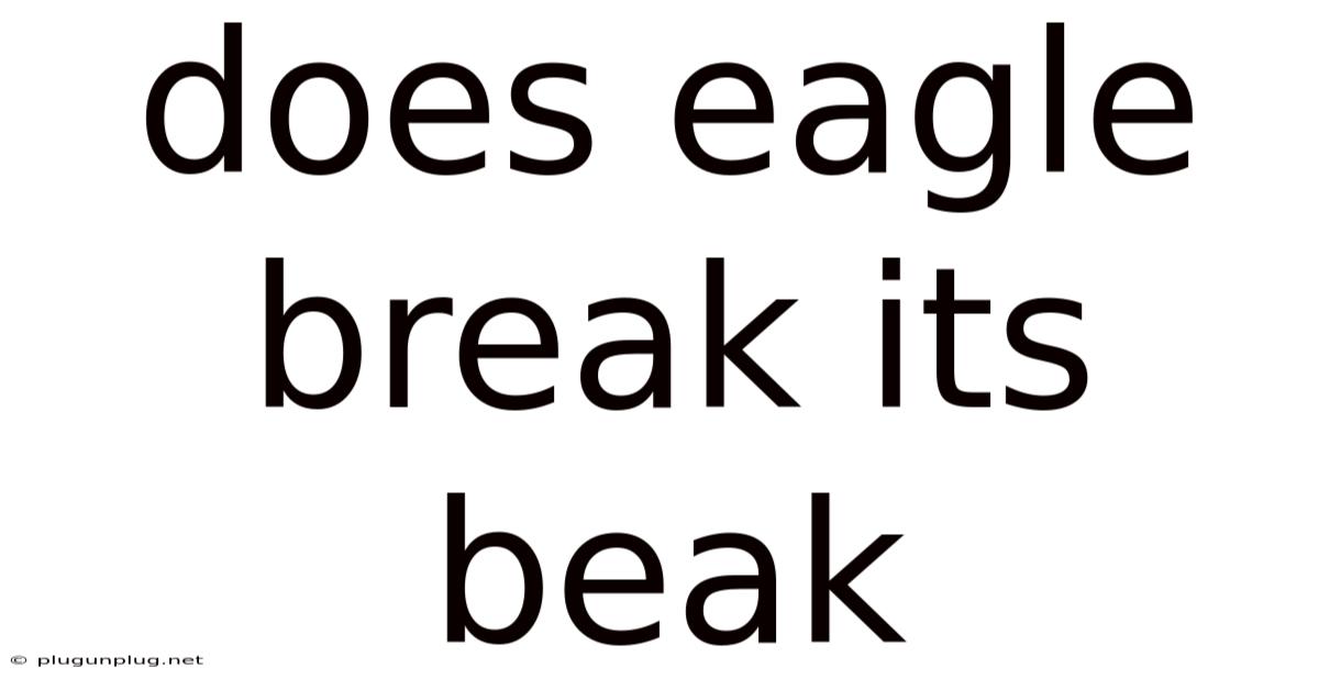 Does Eagle Break Its Beak
