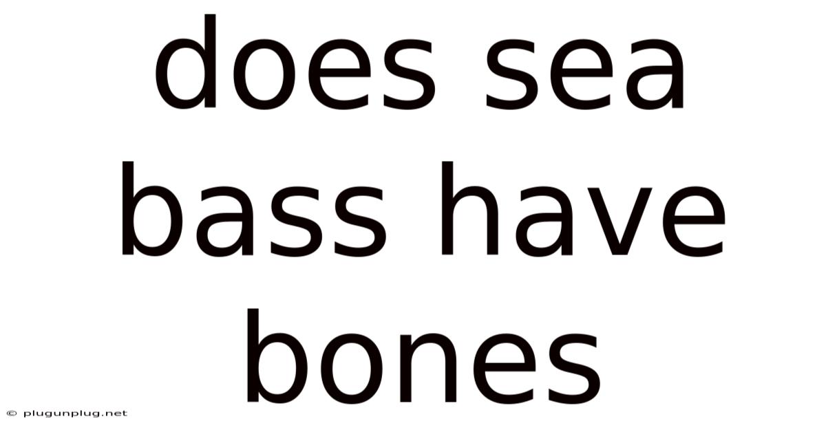 Does Sea Bass Have Bones