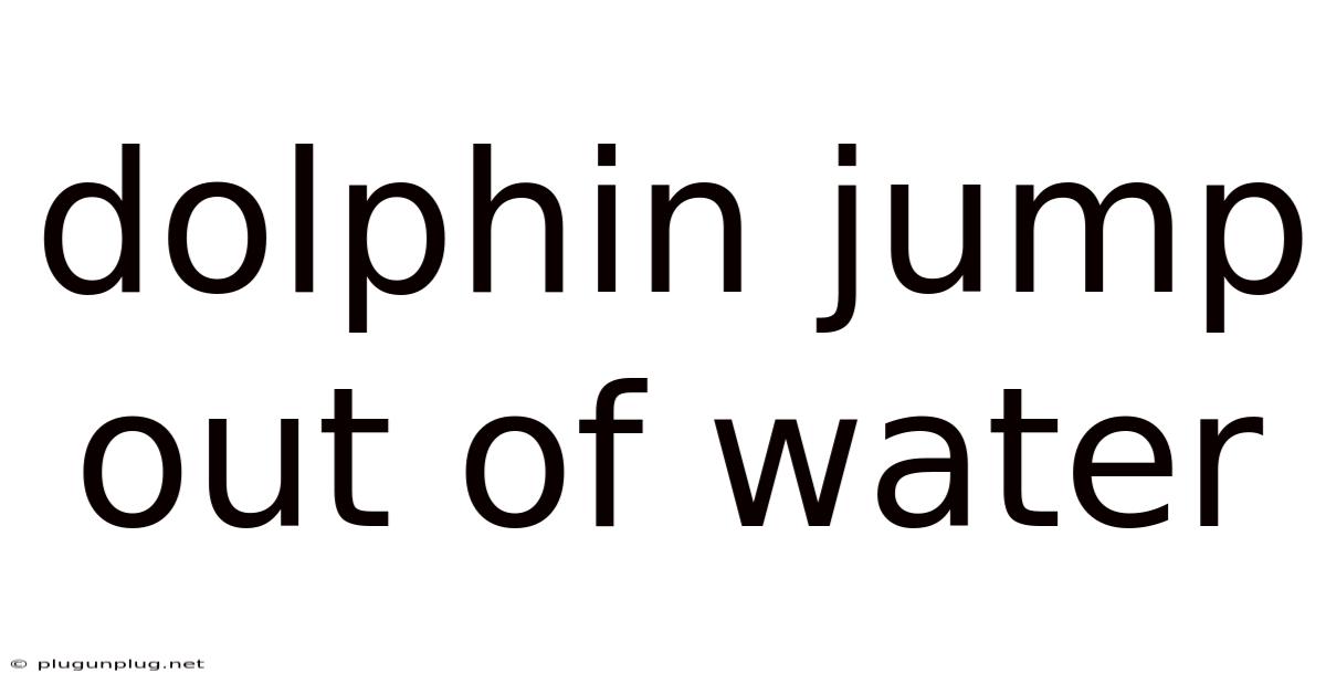 Dolphin Jump Out Of Water