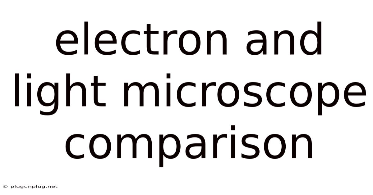 Electron And Light Microscope Comparison