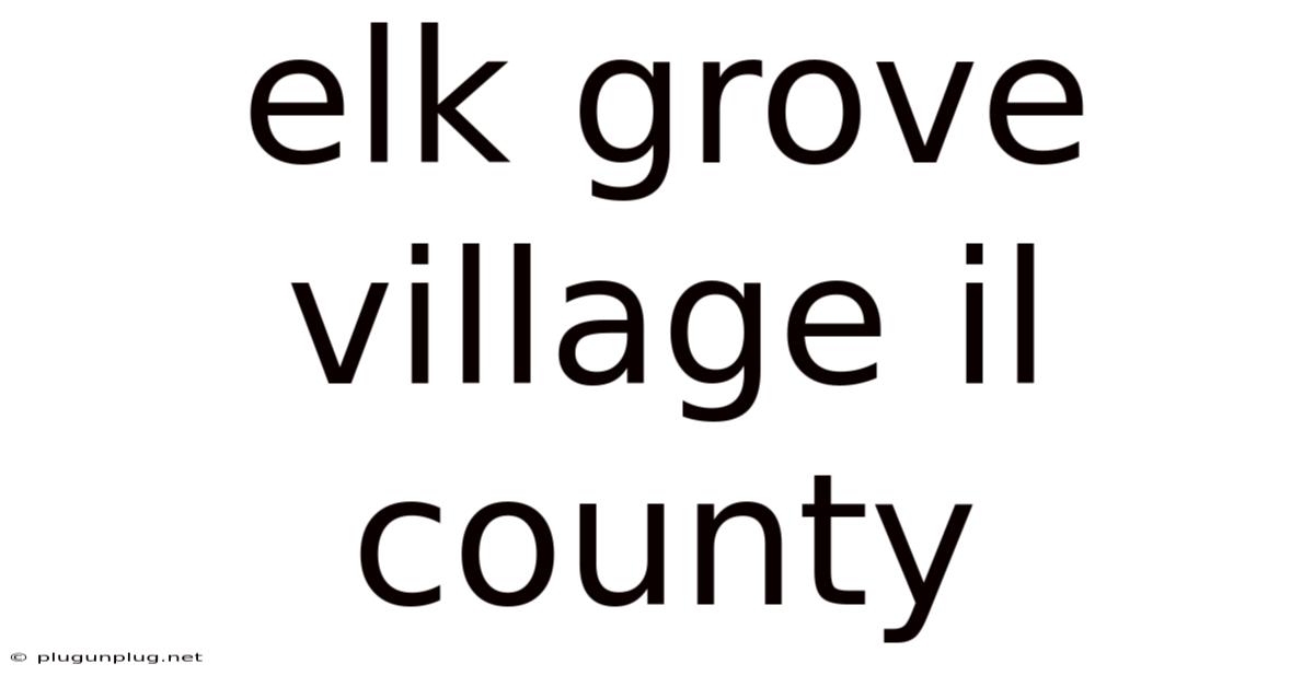 Elk Grove Village Il County