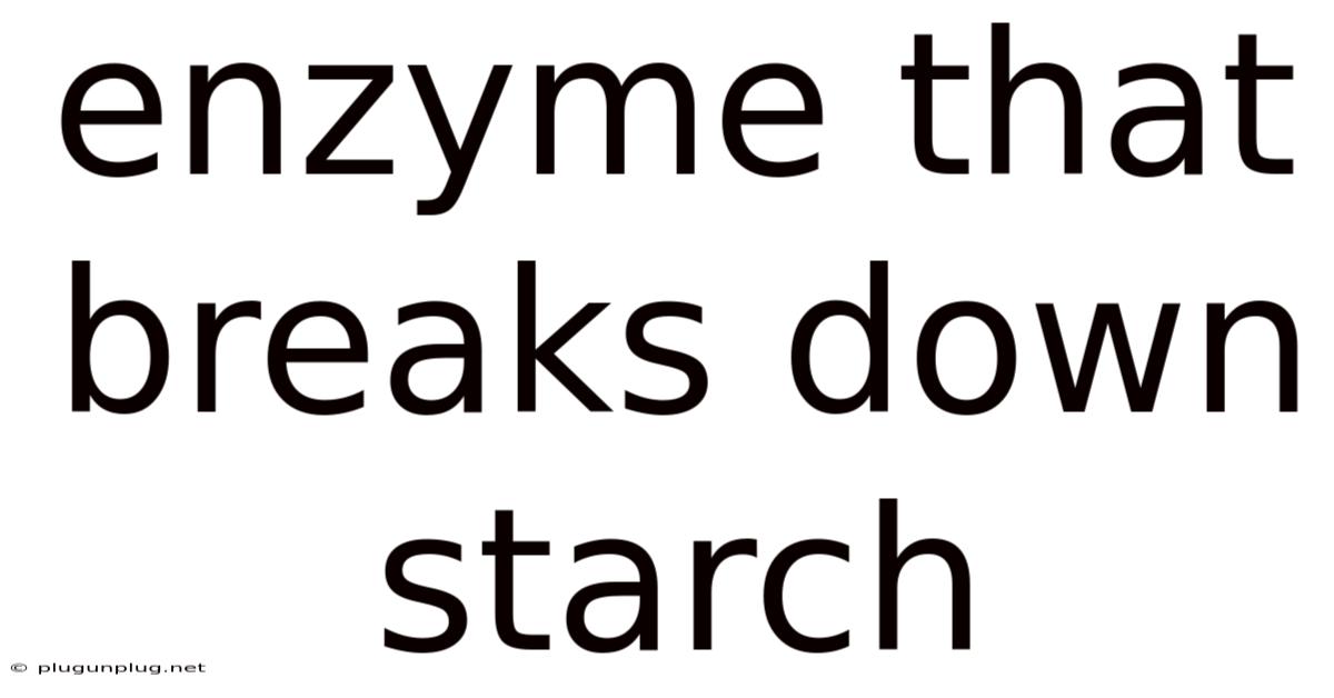 Enzyme That Breaks Down Starch