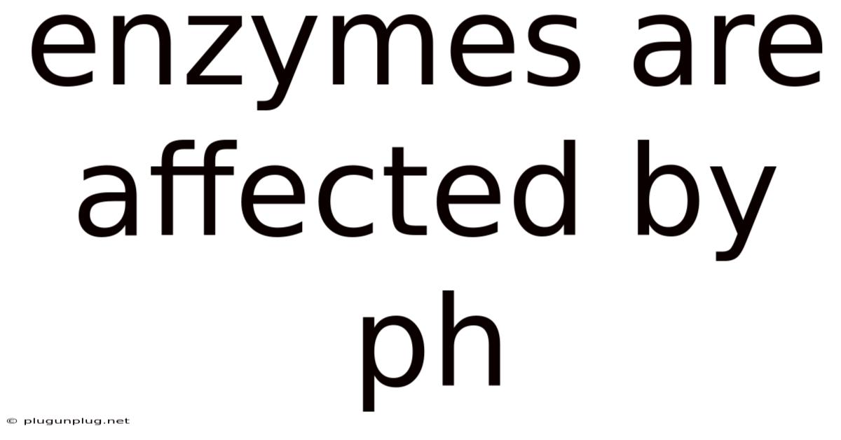Enzymes Are Affected By Ph