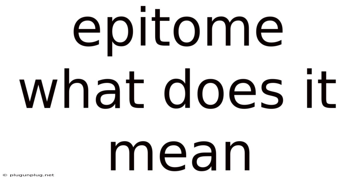 Epitome What Does It Mean