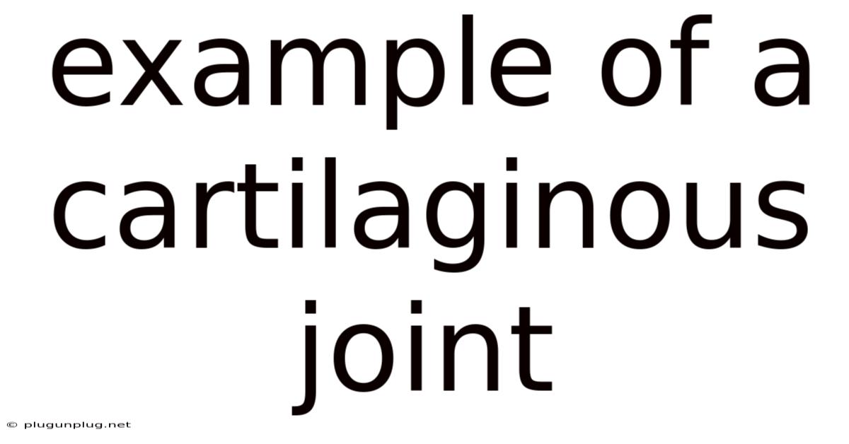 Example Of A Cartilaginous Joint