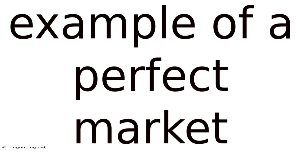 Example Of A Perfect Market