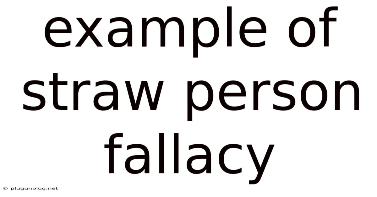 Example Of Straw Person Fallacy