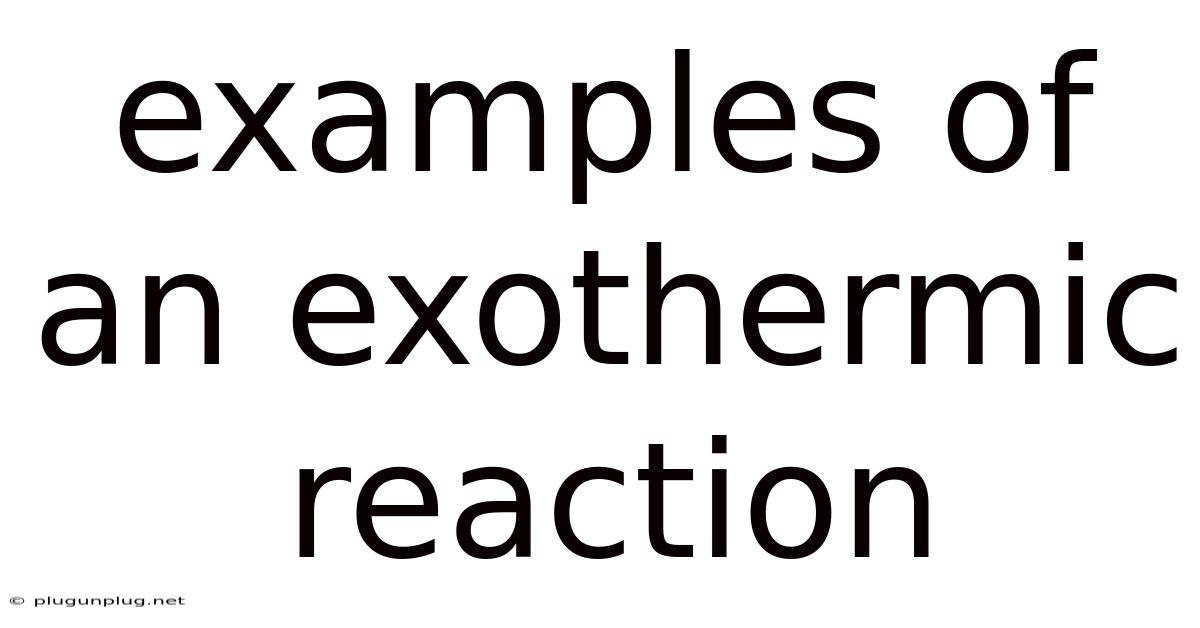 Examples Of An Exothermic Reaction