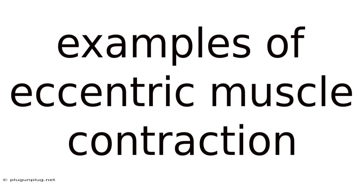 Examples Of Eccentric Muscle Contraction