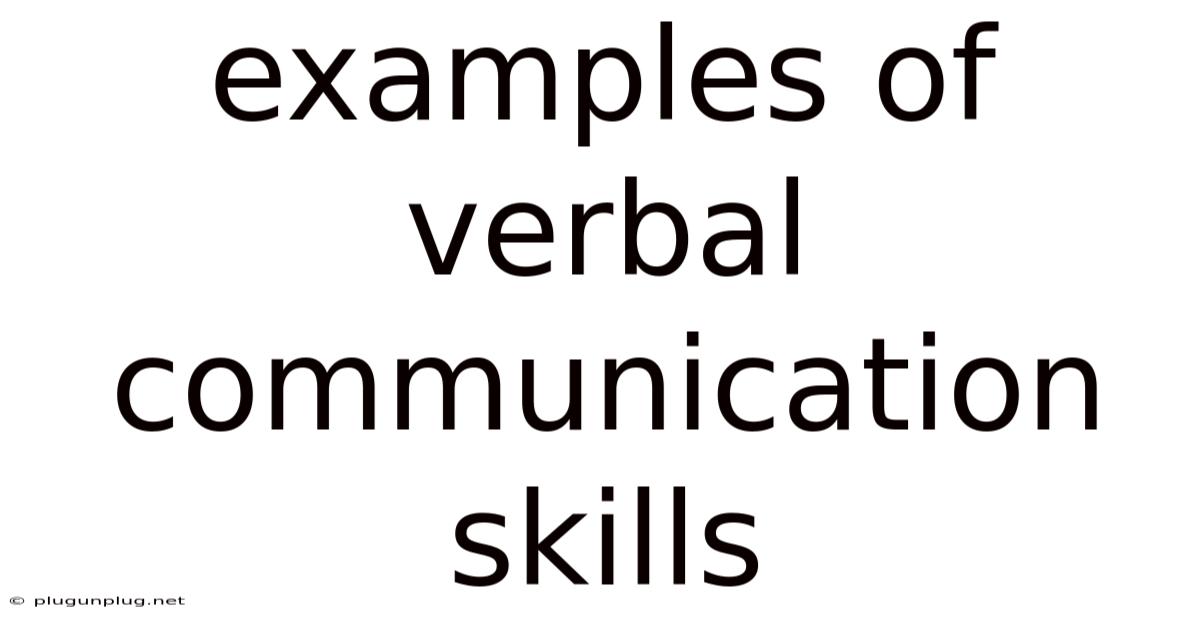 Examples Of Verbal Communication Skills