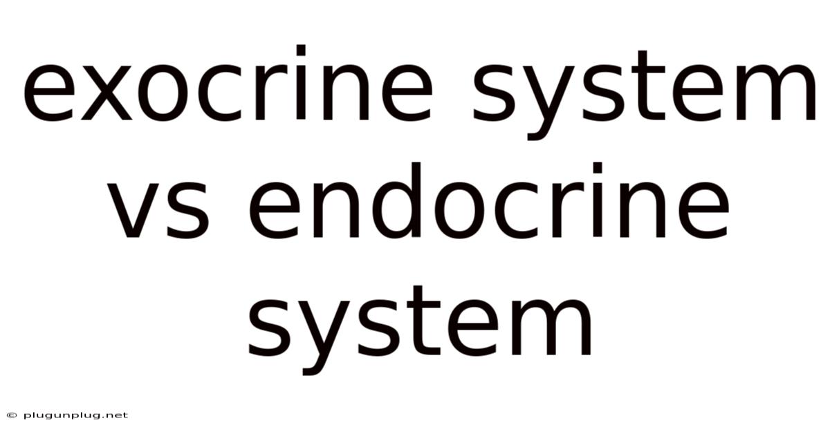 Exocrine System Vs Endocrine System