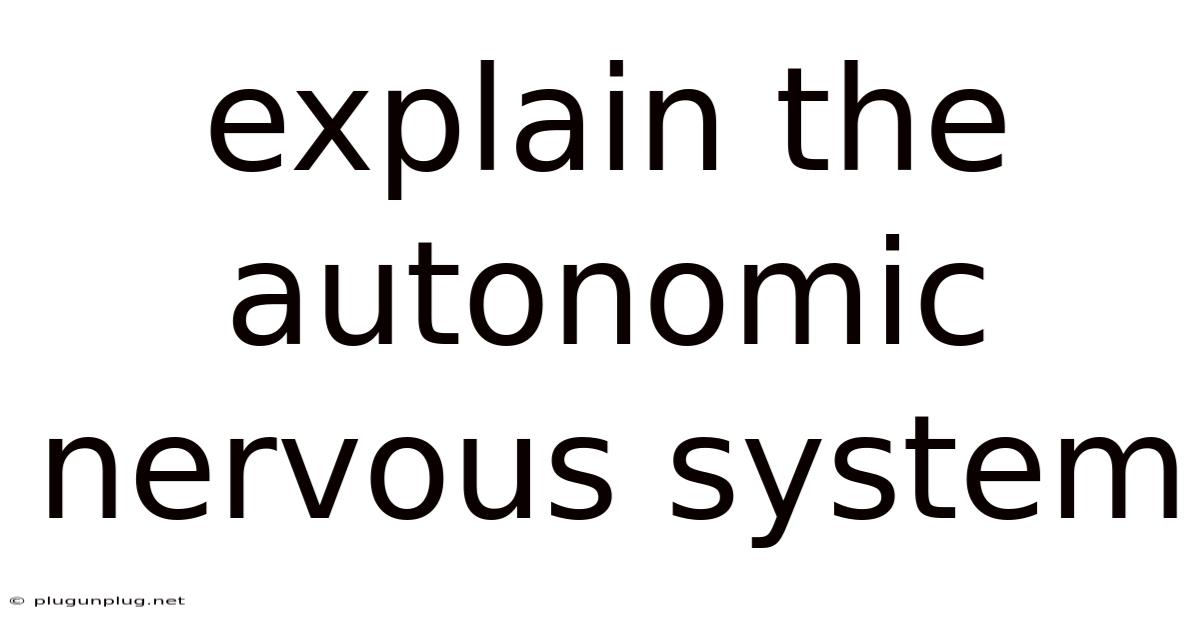 Explain The Autonomic Nervous System