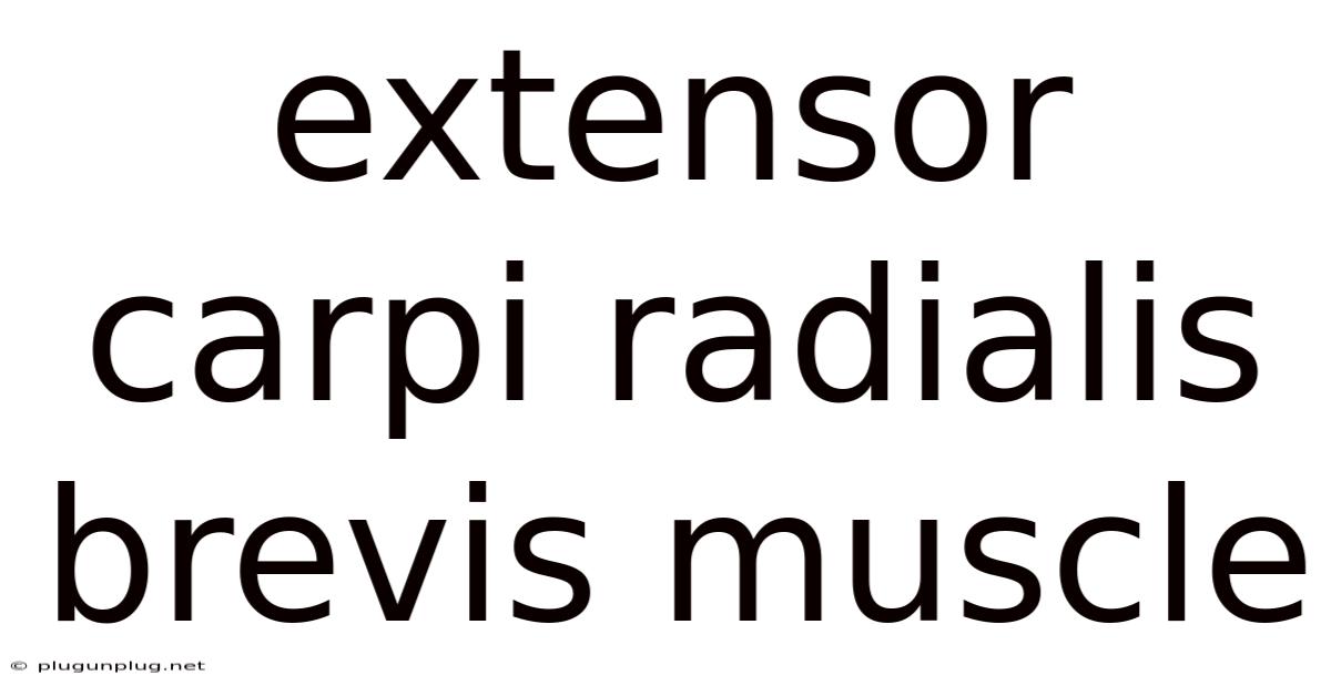Extensor Carpi Radialis Brevis Muscle