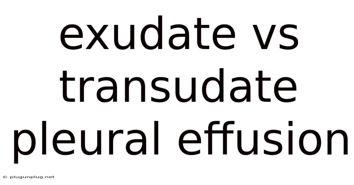 Exudate Vs Transudate Pleural Effusion