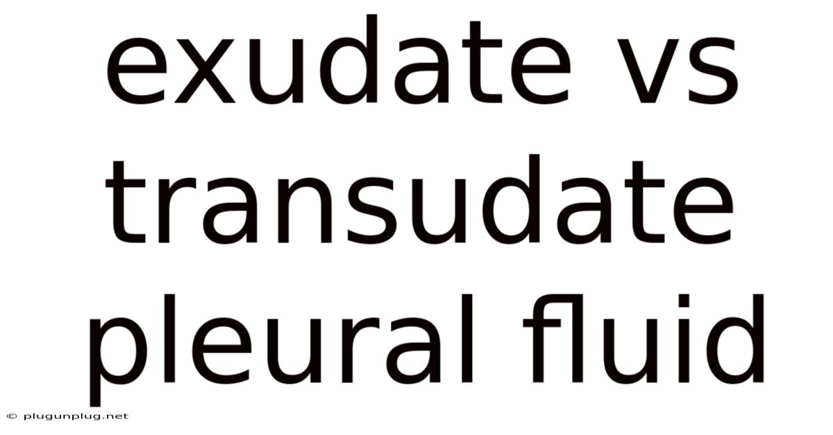 Exudate Vs Transudate Pleural Fluid