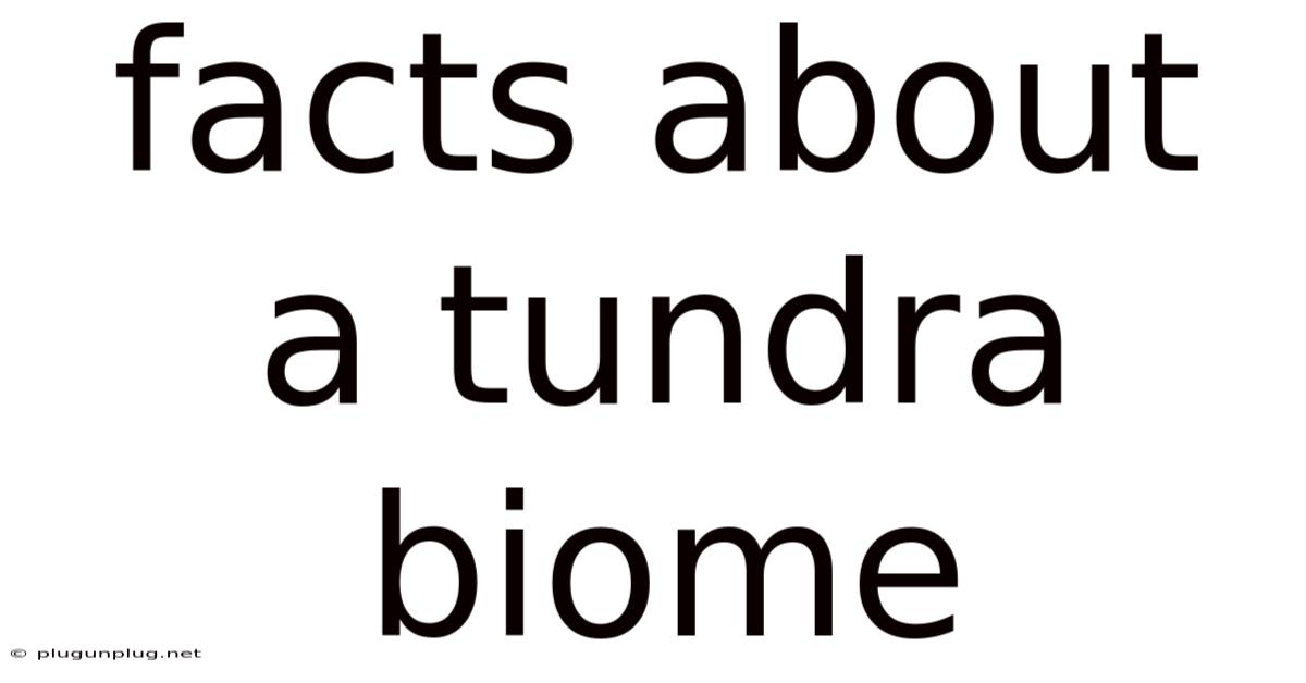 Facts About A Tundra Biome