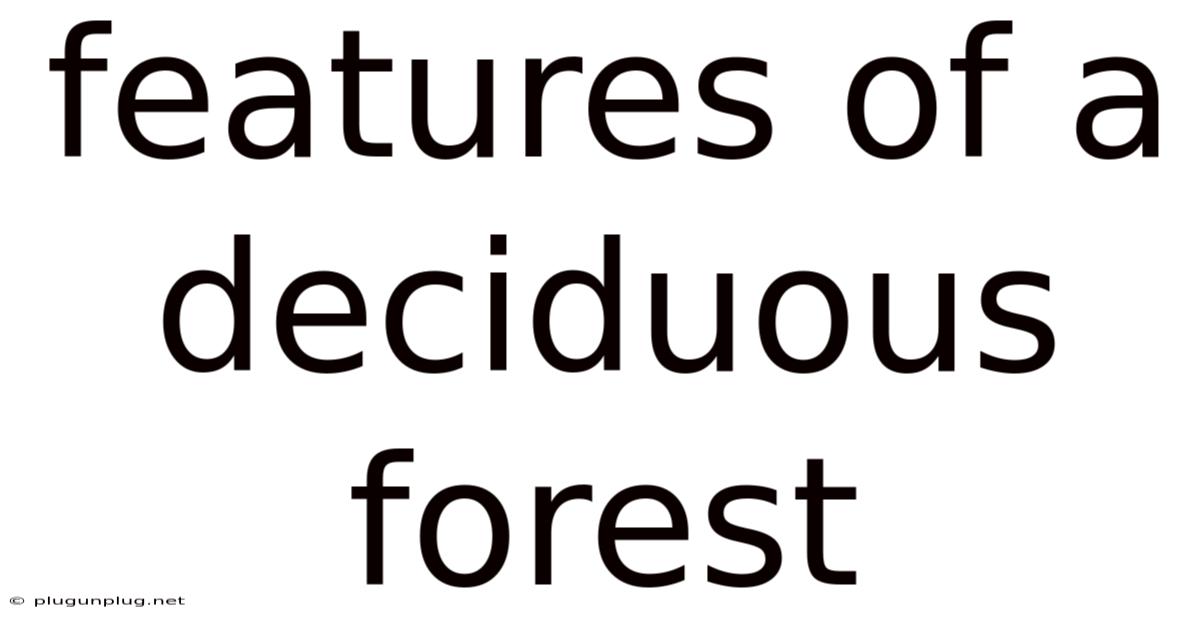 Features Of A Deciduous Forest