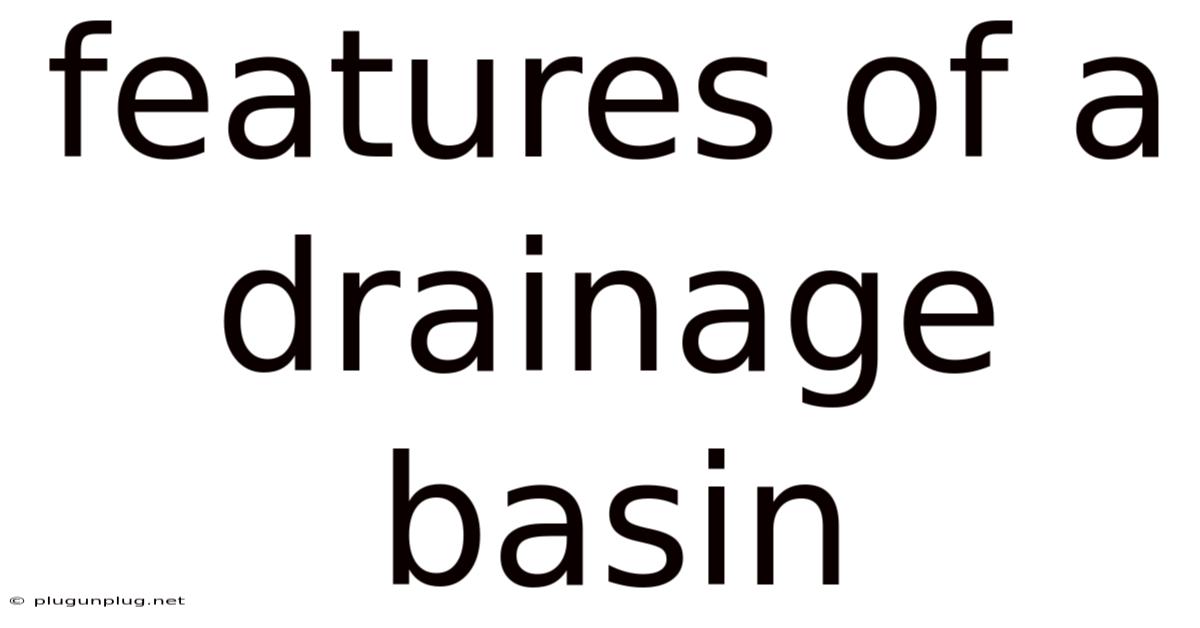 Features Of A Drainage Basin