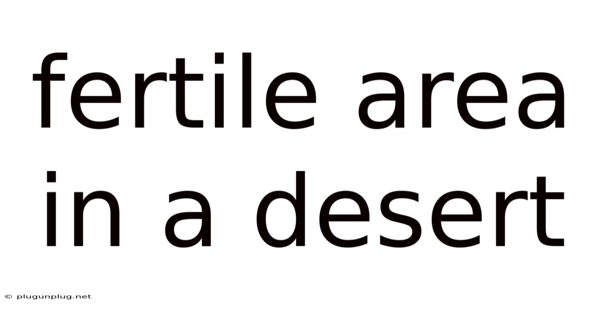 Fertile Area In A Desert