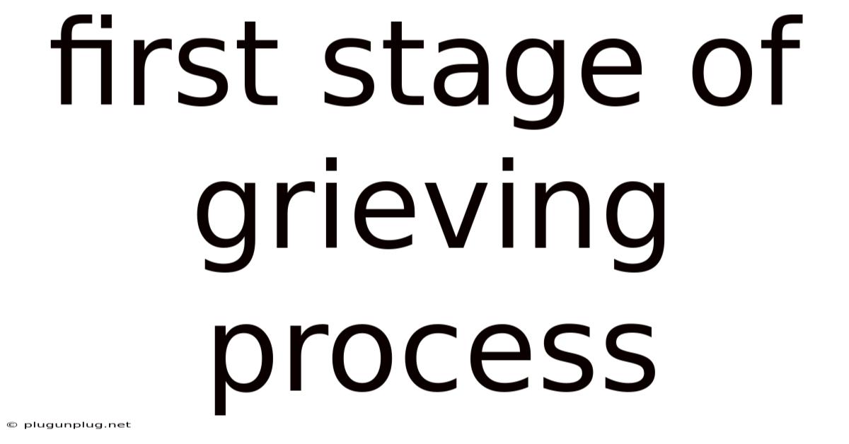 First Stage Of Grieving Process