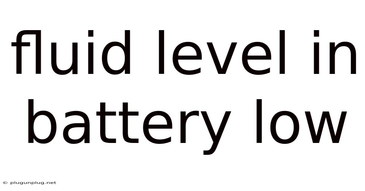 Fluid Level In Battery Low
