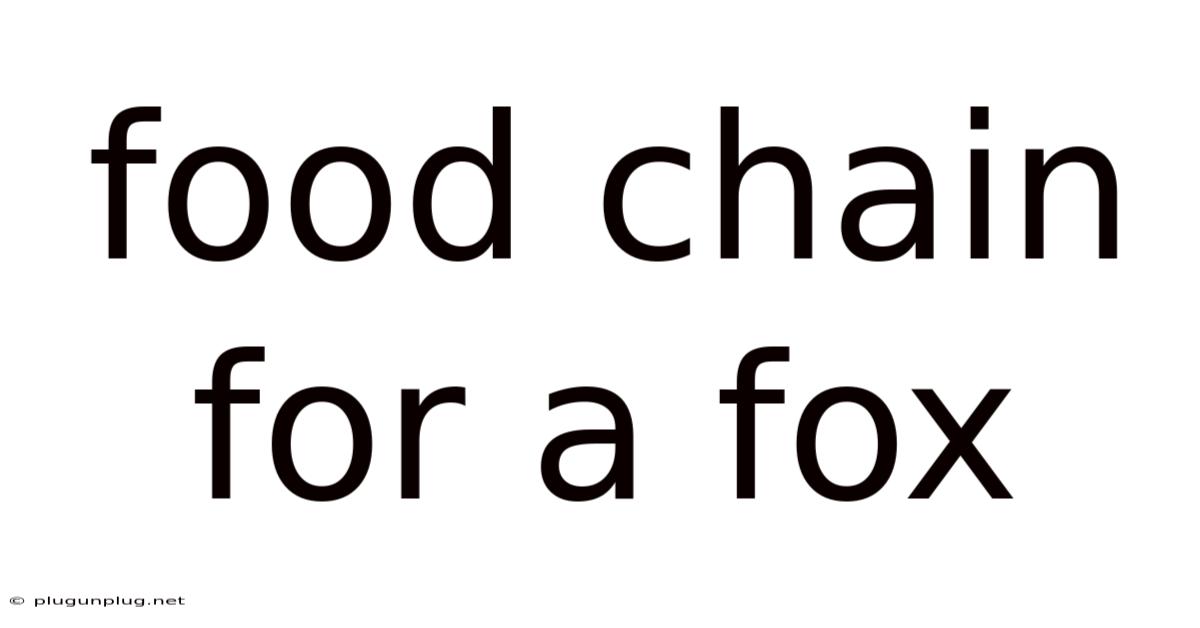 Food Chain For A Fox