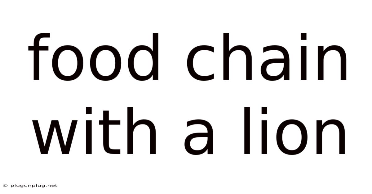 Food Chain With A Lion
