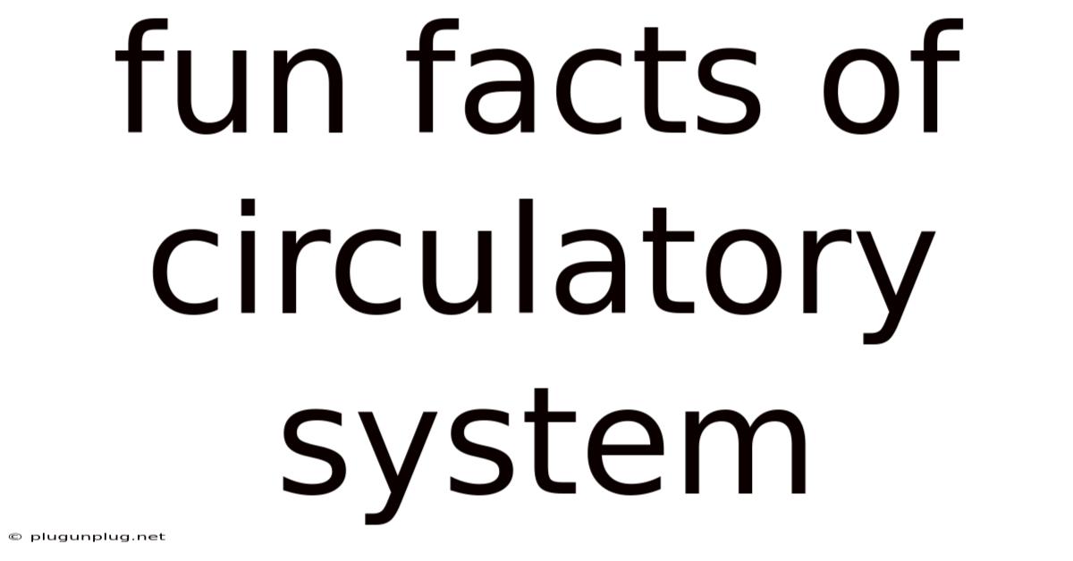 Fun Facts Of Circulatory System