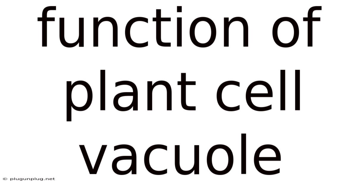 Function Of Plant Cell Vacuole