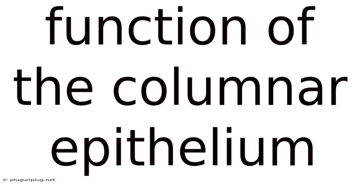 Function Of The Columnar Epithelium