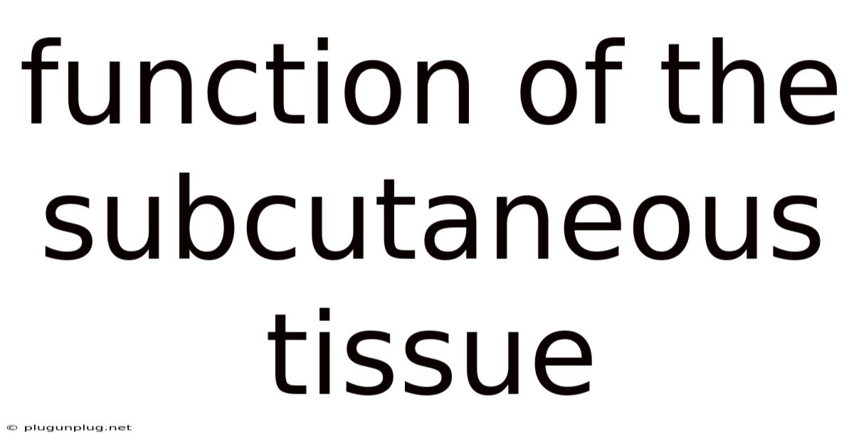 Function Of The Subcutaneous Tissue