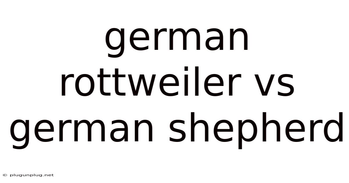 German Rottweiler Vs German Shepherd