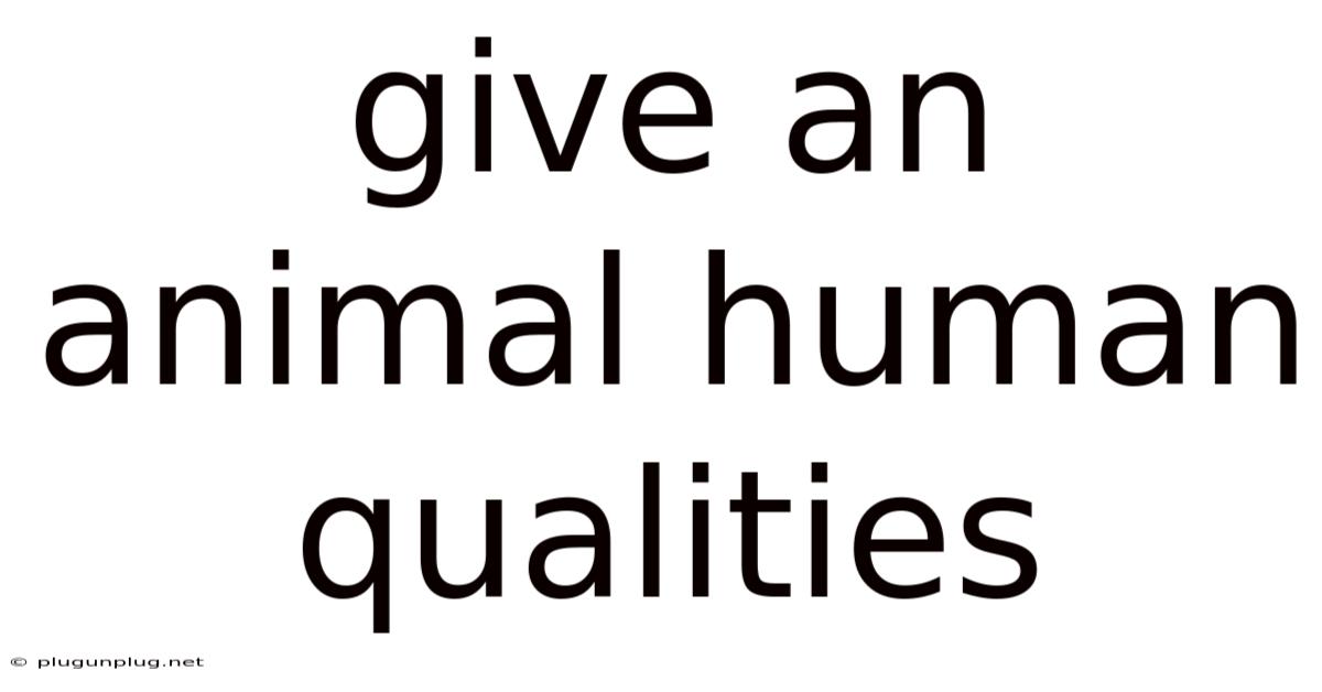 Give An Animal Human Qualities