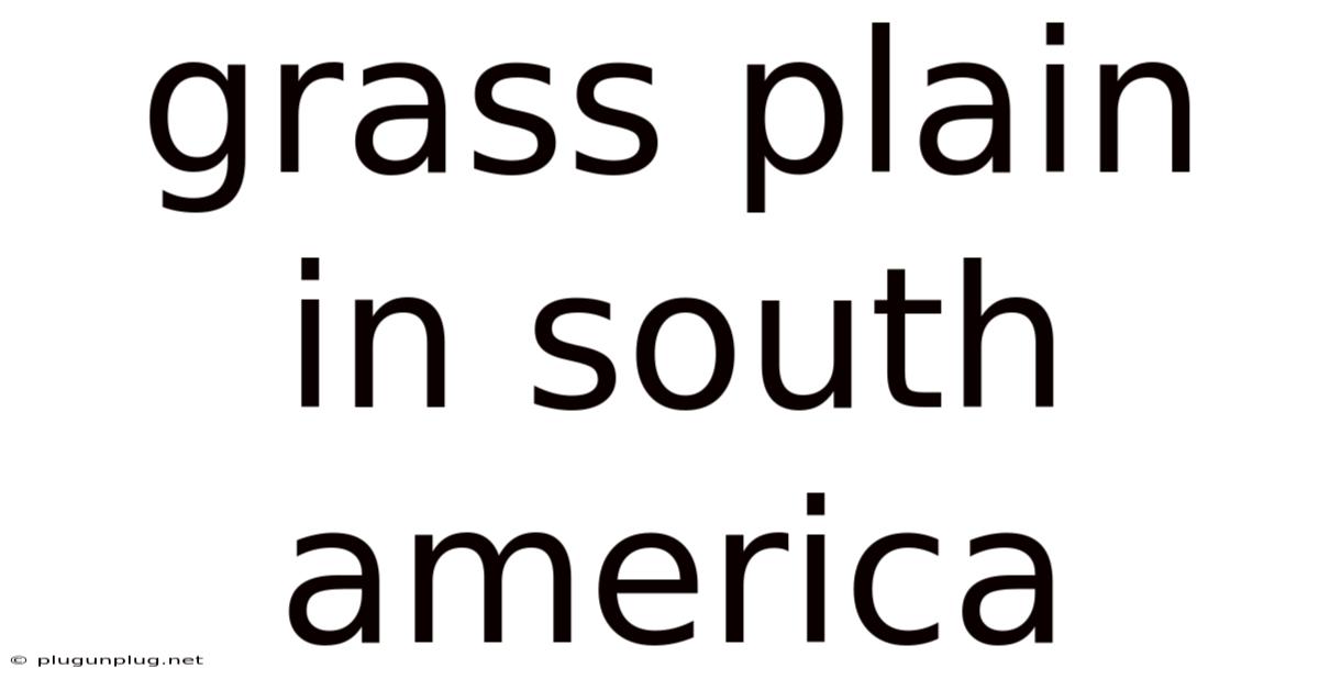 Grass Plain In South America