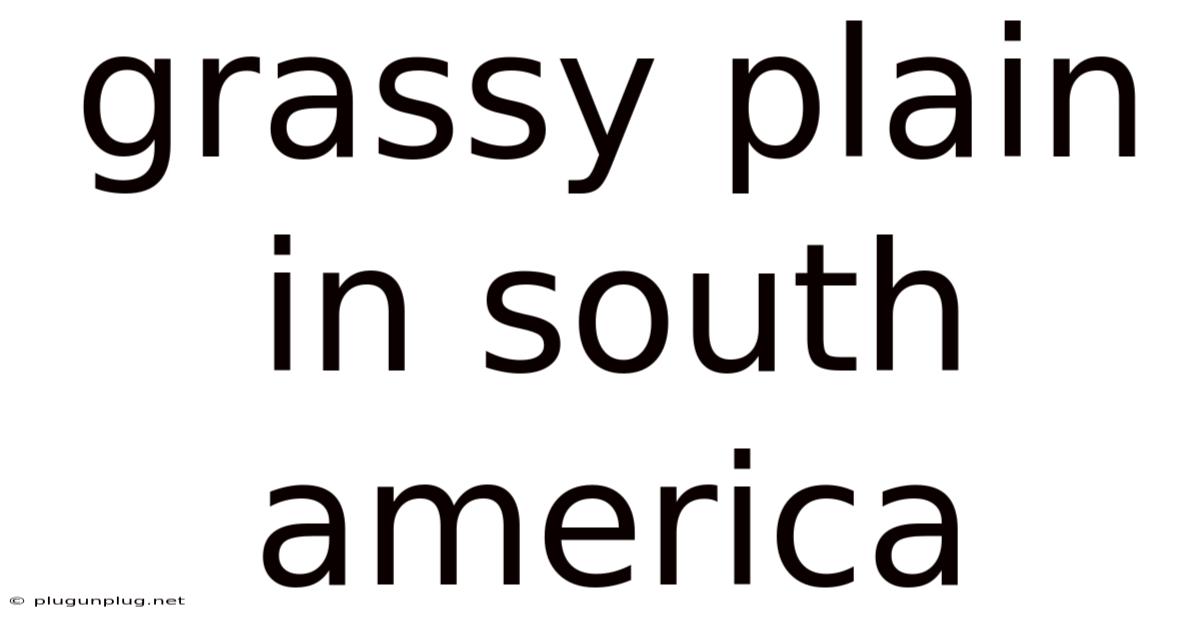 Grassy Plain In South America