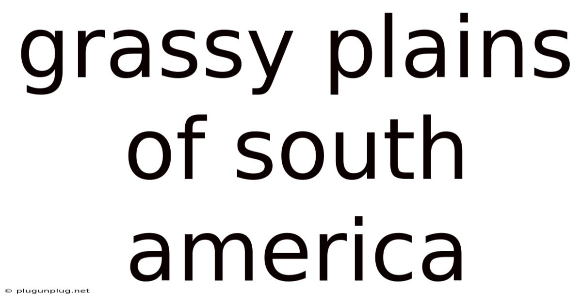 Grassy Plains Of South America
