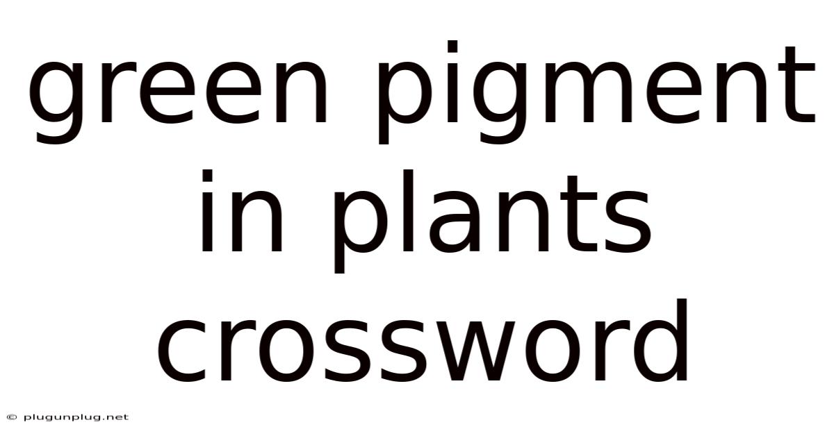 Green Pigment In Plants Crossword