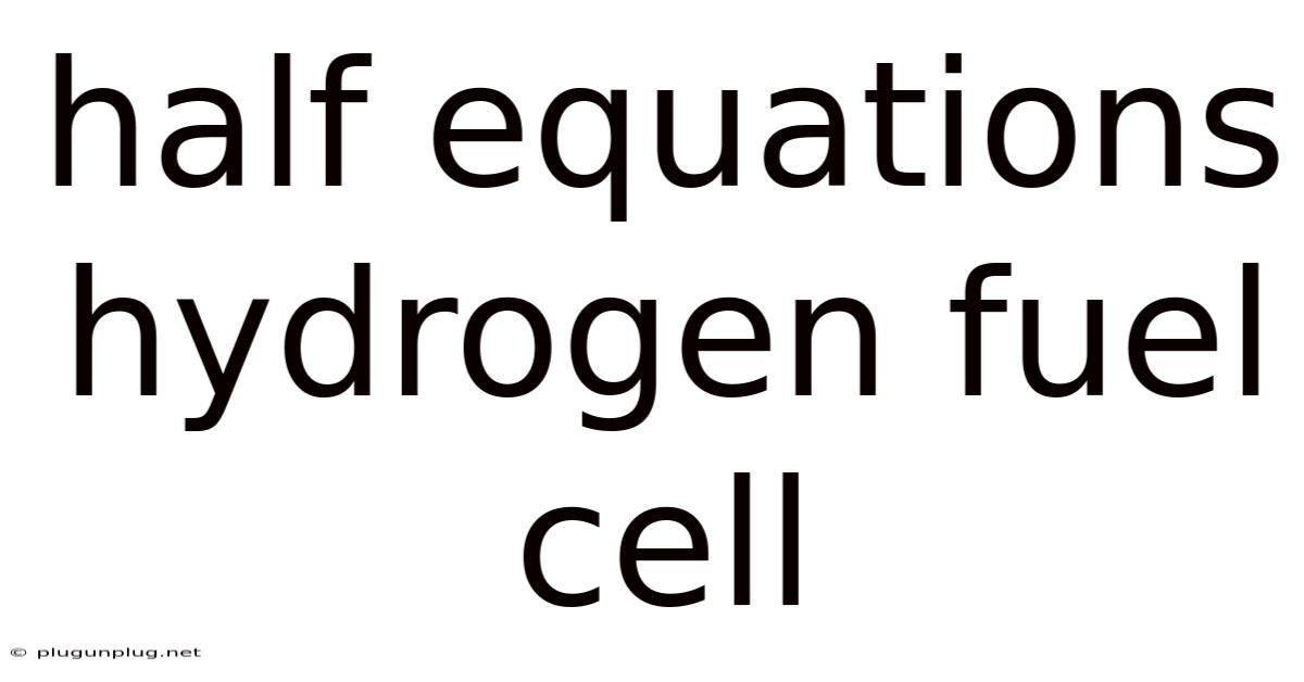 Half Equations Hydrogen Fuel Cell