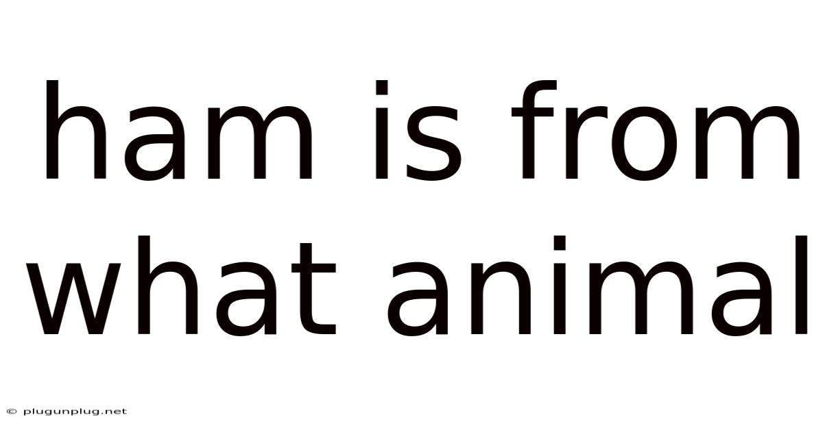 Ham Is From What Animal