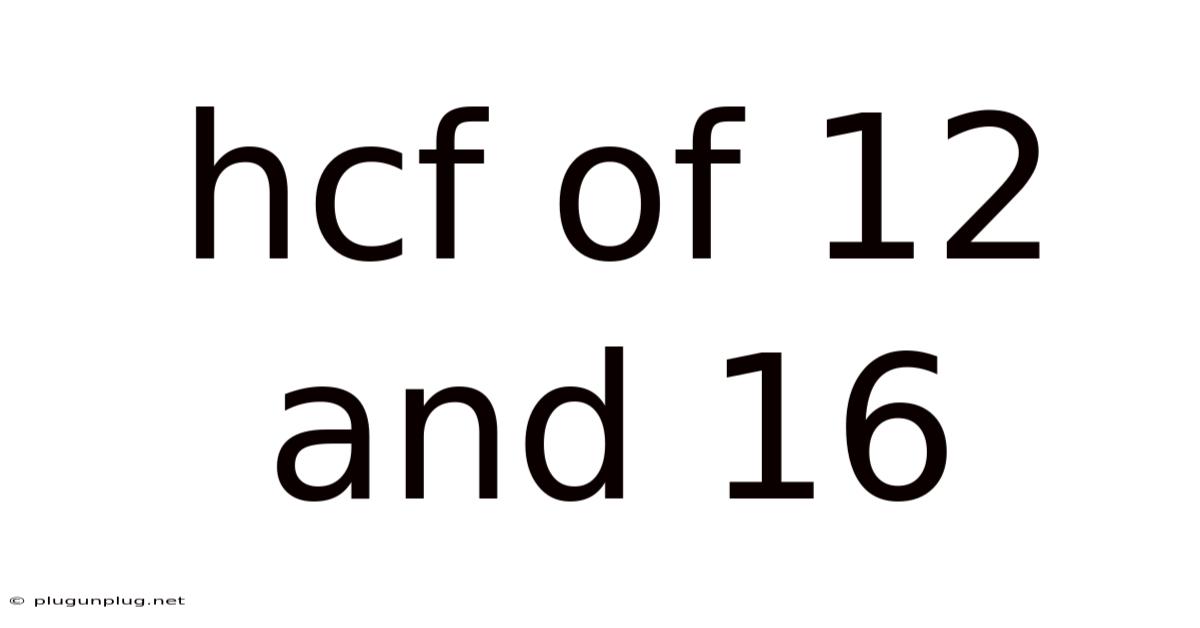 Hcf Of 12 And 16