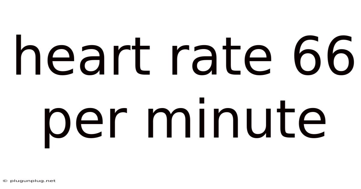 Heart Rate 66 Per Minute