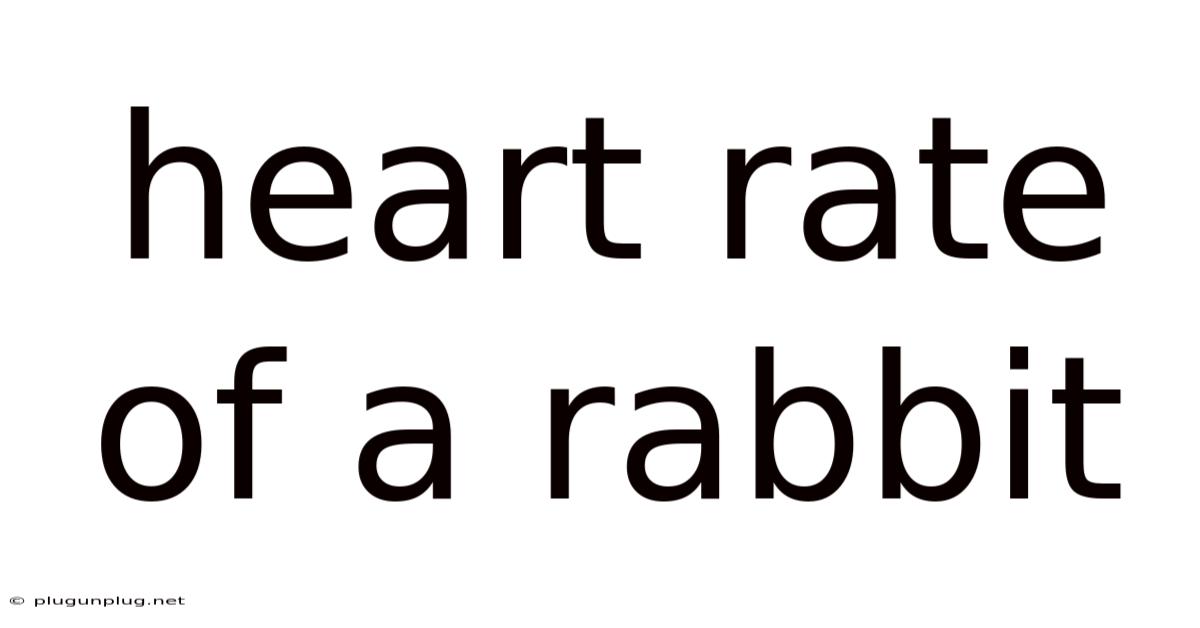 Heart Rate Of A Rabbit