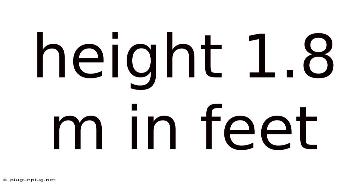 Height 1.8 M In Feet