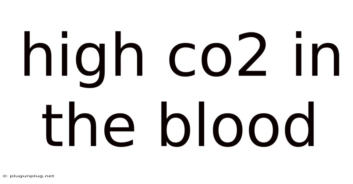 High Co2 In The Blood