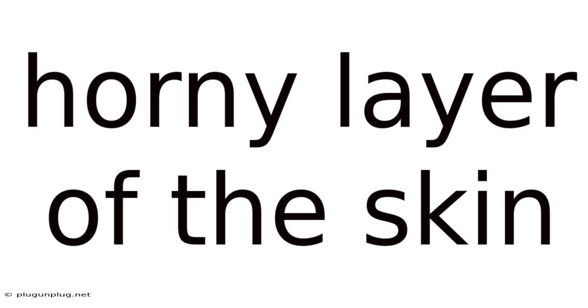 Horny Layer Of The Skin