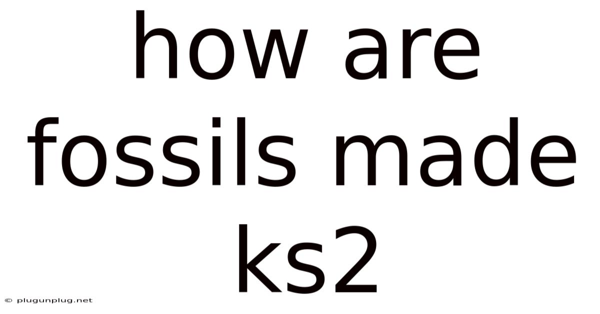 How Are Fossils Made Ks2