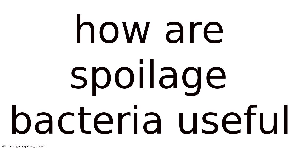 How Are Spoilage Bacteria Useful