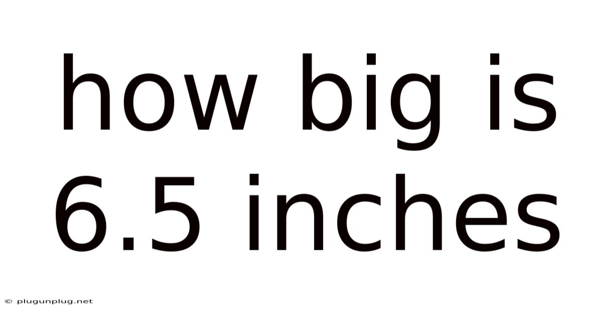 How Big Is 6.5 Inches