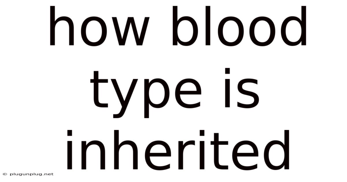 How Blood Type Is Inherited