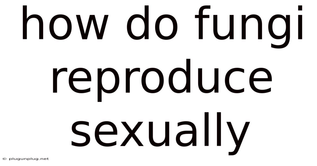 How Do Fungi Reproduce Sexually